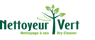 Nettoyeur-Vert-logo